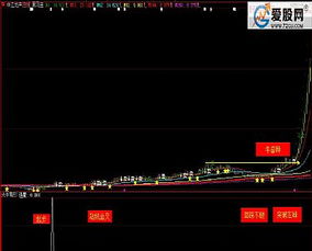 大牛有形 通達信 大智慧副圖 選股指標 貼圖 加密